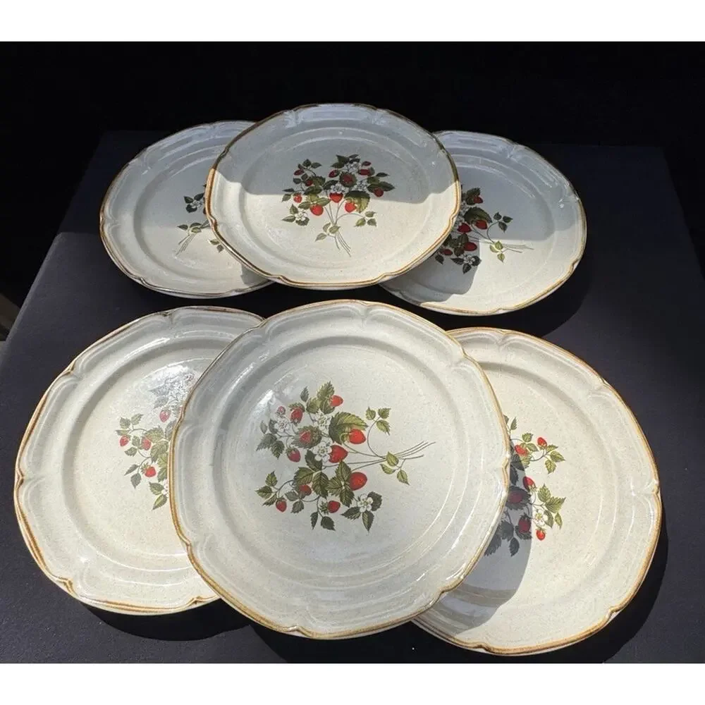 6 Vintage 1960’s Endura Collection LA FRAISE Strawberries 10.5
